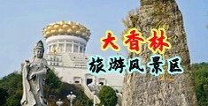 操美女屁内射毛片视频中国浙江-绍兴大香林旅游风景区